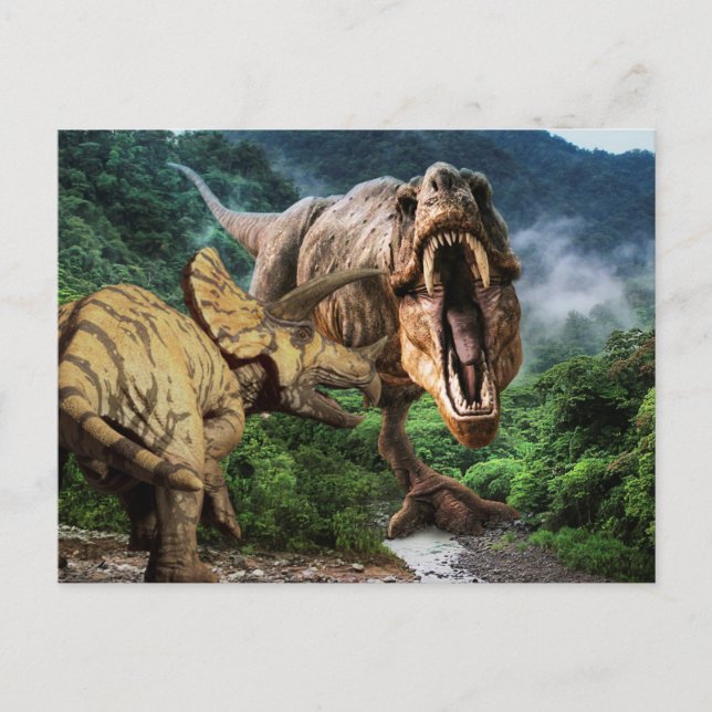 Dinosaur Tyrannosaurus Triceratops Attack Postcard (Front)