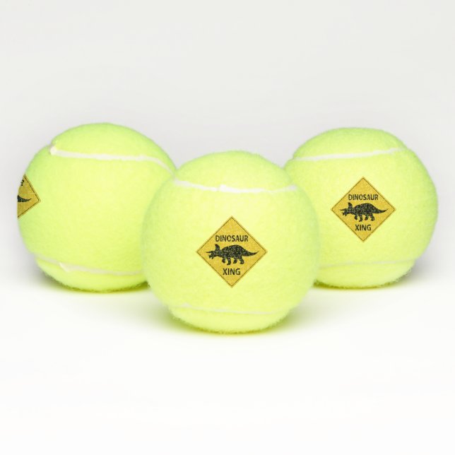 Dinosaur Xing Tennis Balls (Multi)