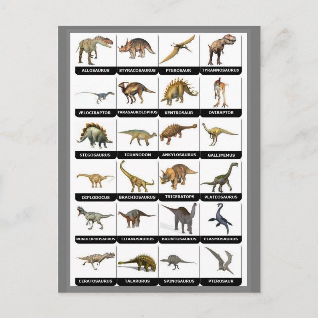 Dinosaurs Chart Postcard (Front)