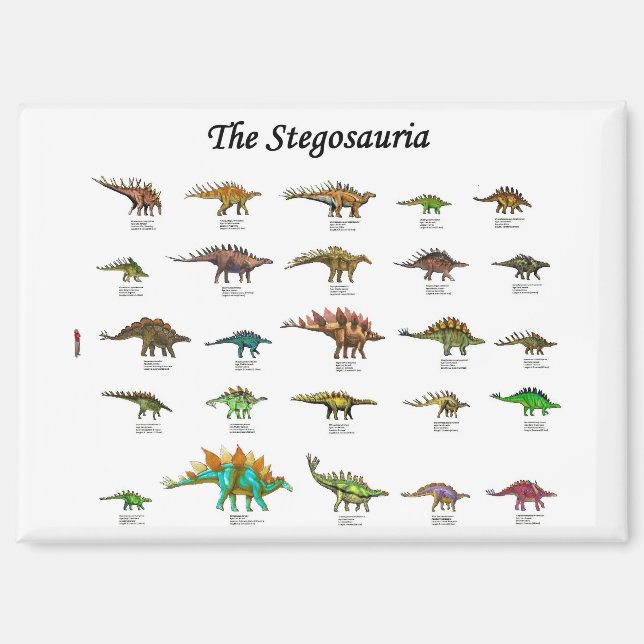 dinosaurs chart poster magnet (Front)