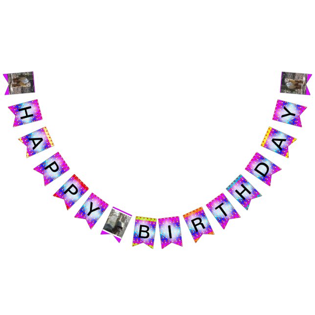 Dinosaurs Colourful Happy Birthday Bunting Banner (All)