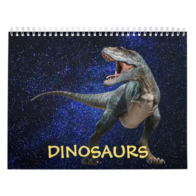 Dinosaurs Dark Shiny Sky Beautiful Wall Calendar (Cover)