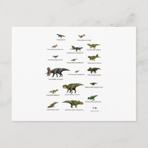 Dinosaurs names postcard