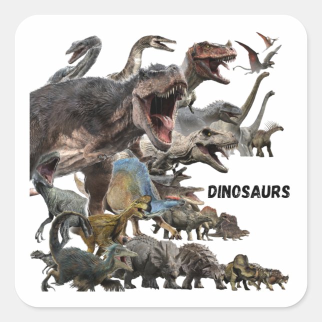Dinosaurs  square sticker (Front)