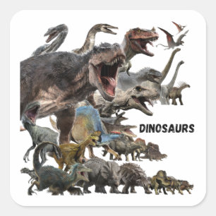 Dinosaurs square sticker
