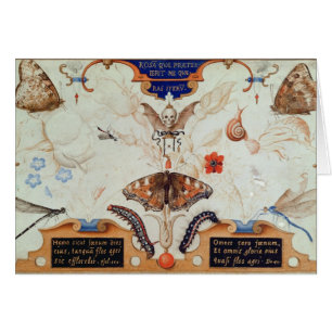 Diptych with flowers and insects, 1591