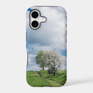 Dirt Road and Apple Trees