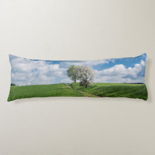 Dirt Road and Apple Trees Body Cushion