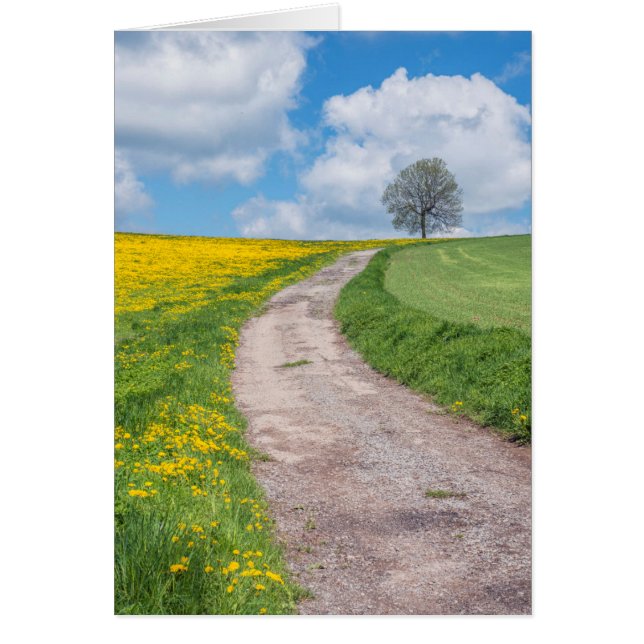 Dirt Road and Tree (Front)
