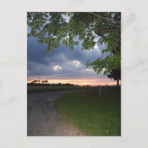 Dirt Road Postcard