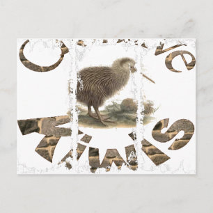 Dirty 3Tall Boxes Postcard