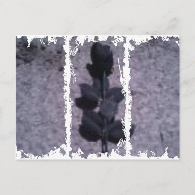 Dirty 3Tall Boxes Postcard (Front)