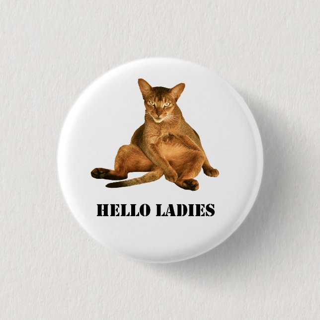 Dirty cat pinback button (Front)