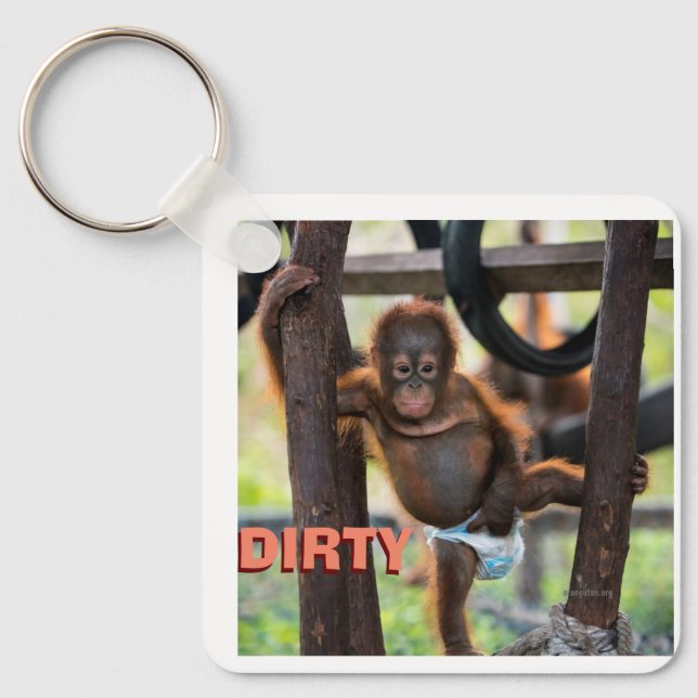 Dirty Diapers or Clean Baby Key Ring (Front)
