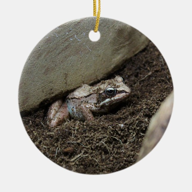 Dirty Frog Ceramic Tree Decoration (Front)