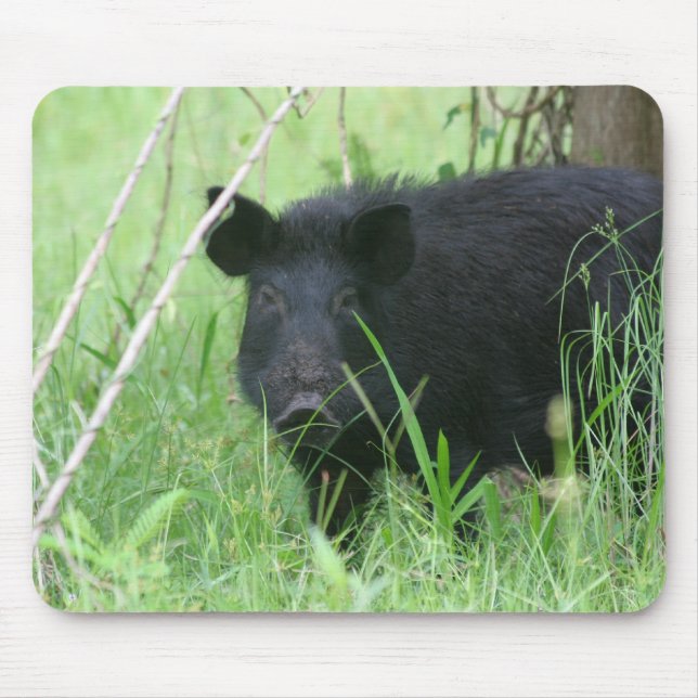 Dirty Nose Mouse Pad (Front)