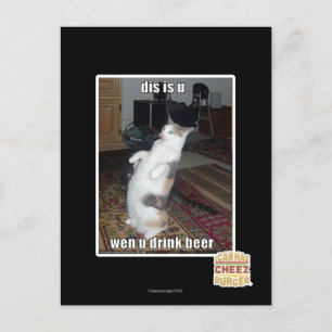 dis is u postcard