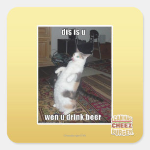 dis is u square sticker