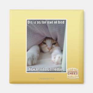Dis iz as far owt of bed.. magnet