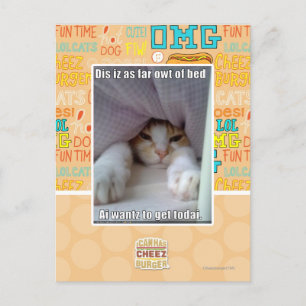 Dis iz as far owt of bed.. postcard