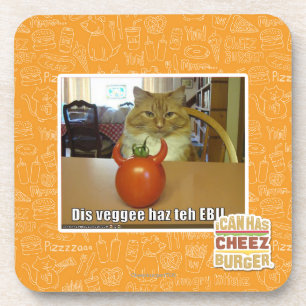 Dis veggee haz the EBIL Coaster