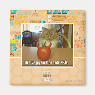 Dis veggee haz the EBIL Magnet