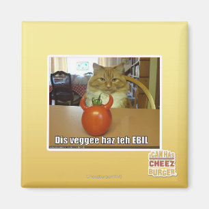 Dis veggee haz the EBIL Magnet