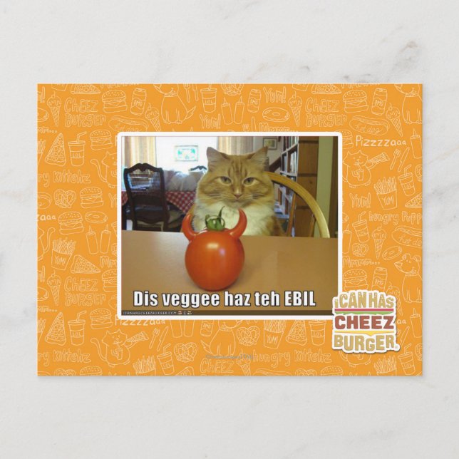 Dis veggee haz the EBIL Postcard (Front)
