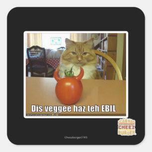 Dis veggee haz the EBIL Square Sticker