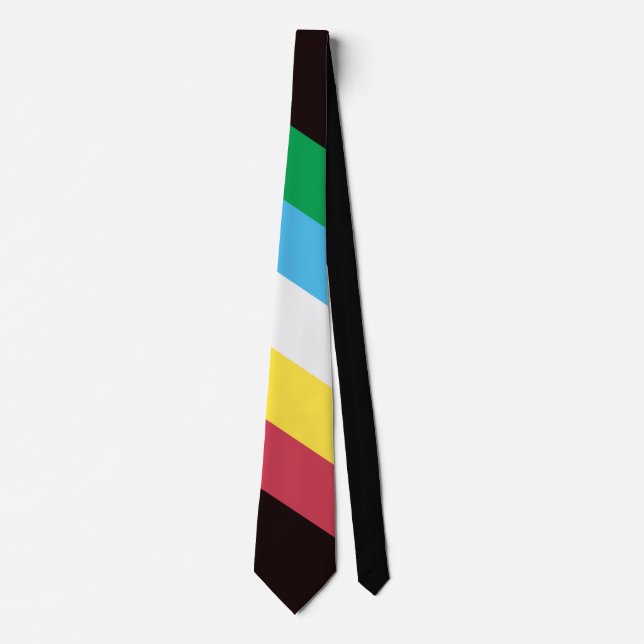 Disability Pride Tie (Front)