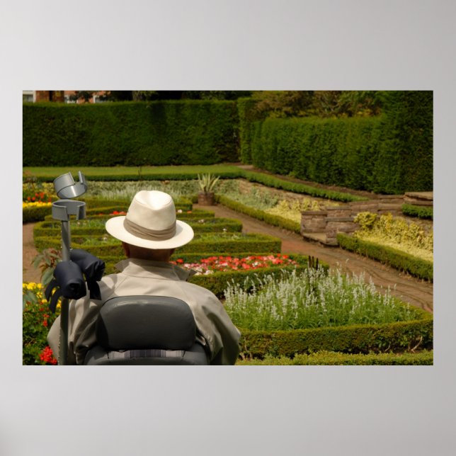 Disabled man in wheelchair in garden poster (Front)