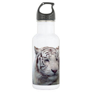 Disappearing Tigers 532 Ml Water Bottle