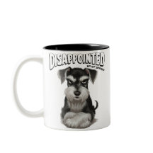 Disappointed Miniature Schnauzer