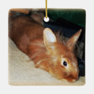 Disapproving Bunny Rabbit Ornament