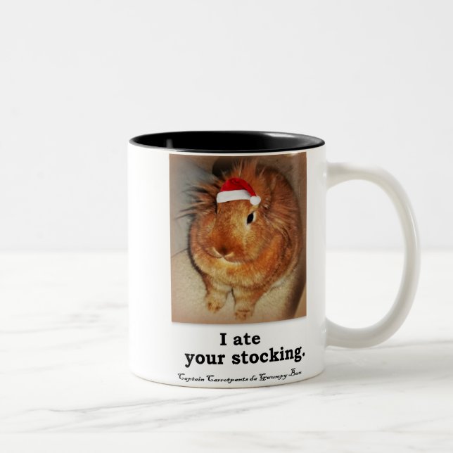Disapproving Bunny Rabbit Two Tone Mugs (Right)
