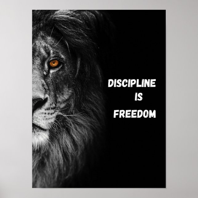 Discipline Is Freedom Ultra Close Up Lion Head Poster (Front)