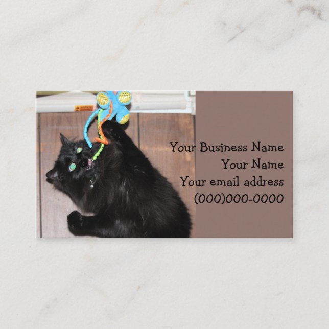 Disco Business Card (Front)