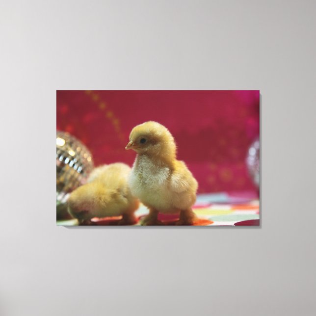 Disco Chicks Canvas Print (Front)