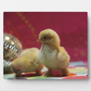 Disco Chicks Plaque