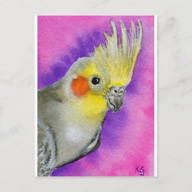 Disco Cockatiel Postcard (Front)