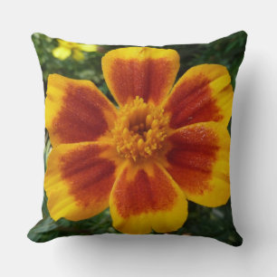 Disco Marigold Orange and Red Summer Flower Cushion