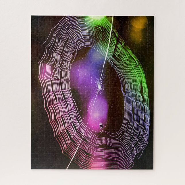 Disco Style Spider Web Puzzle (Vertical)