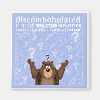 Discombobulated Magnet