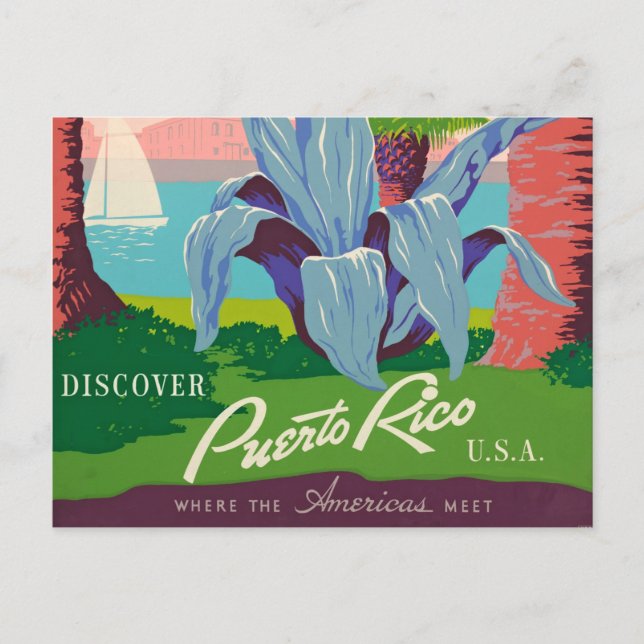 Discover Puerto Rico Vintage Travel Art Postcard (Front)