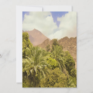 Discover the Oasis Holiday Card