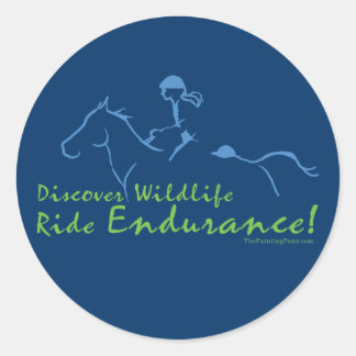 Discover Wildlife - Endurance Horse Classic Round Sticker