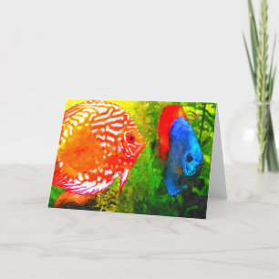 Discus aquarium fish all occasions greeting card