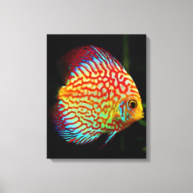 Discus aquarium fish canvas print (Front)