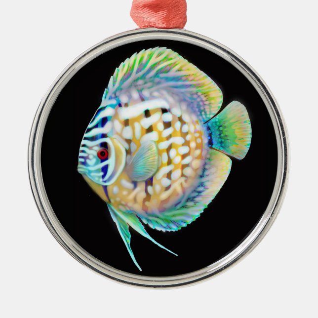 Discus Cichlid Aquarium Fish Ornament (Front)