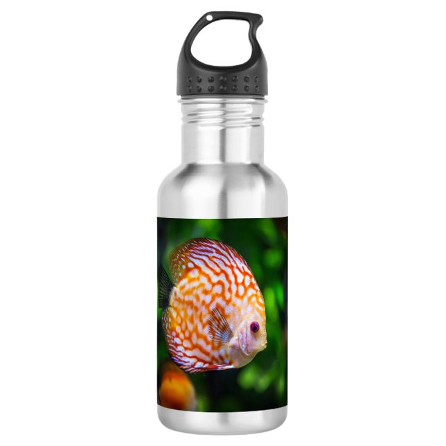 Discus fish 532 ml water bottle (Front)